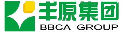 Anhui BBCA Group Co., Ltd